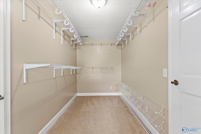 walk in closet featuring carpet floors