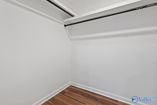 spacious closet featuring dark hardwood / wood-style floors