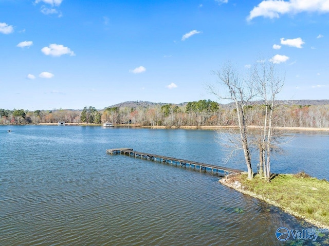 property view of water