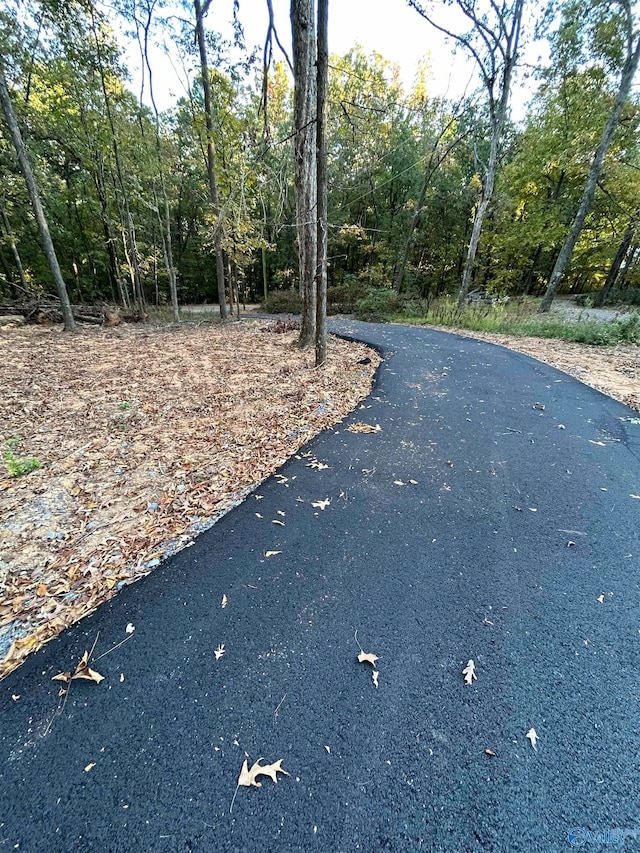 view of road