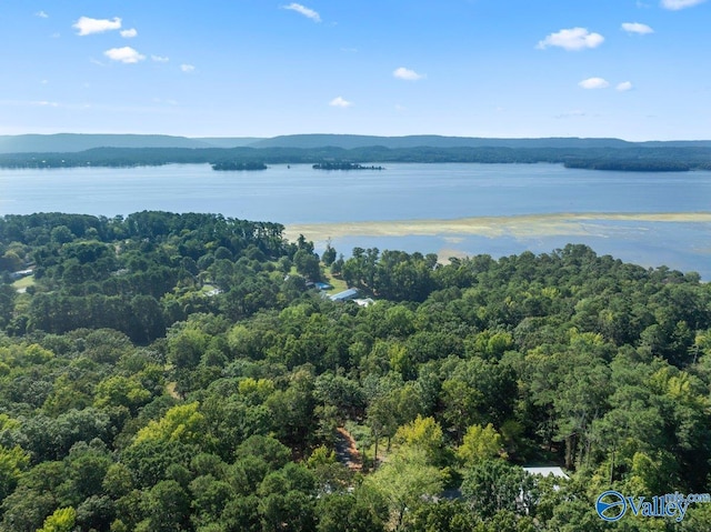 bird's eye view featuring a water and mountain view