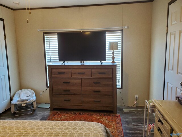bedroom featuring dark wood finished floors
