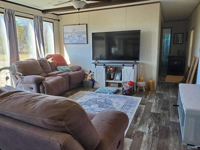 living room with ceiling fan and dark wood-style floors