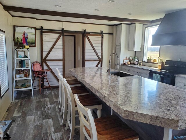 kitchen with dark wood-style flooring, electric range, a barn door, extractor fan, and a sink