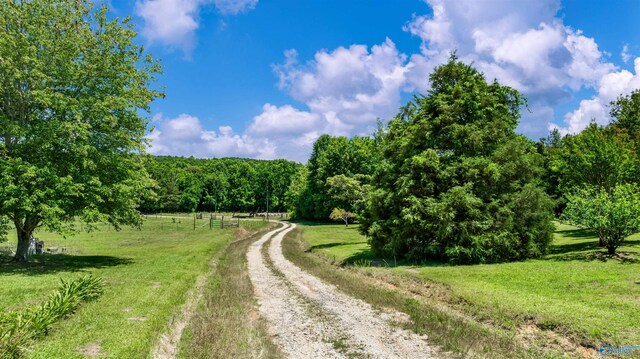 view of road with a rural view