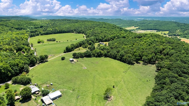 bird's eye view