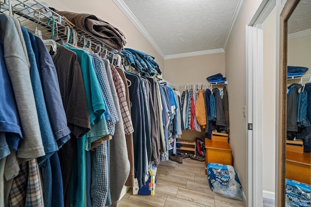 walk in closet featuring light hardwood / wood-style floors