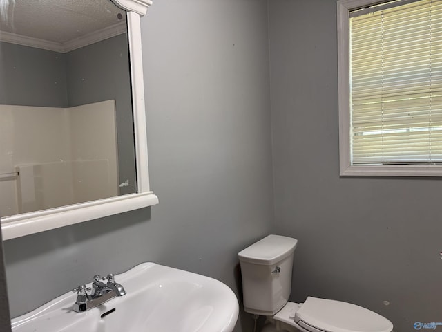162 Forest Chapel Rd, Hartselle, AL 35640 - bathroom featuring ornamental molding and a textured ceiling