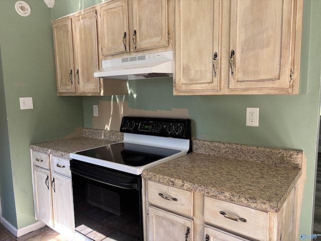 162 Forest Chapel Rd, Hartselle, AL 35640 - kitchen featuring electric range, under cabinet range hood, and light brown cabinets