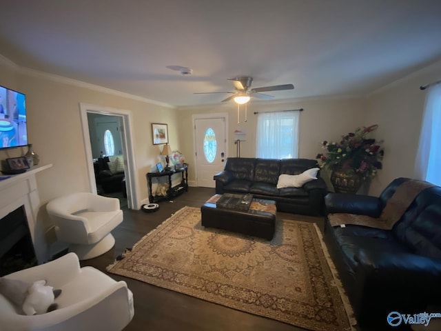 living area featuring a fireplace, ornamental molding, dark wood finished floors, and a ceiling fan