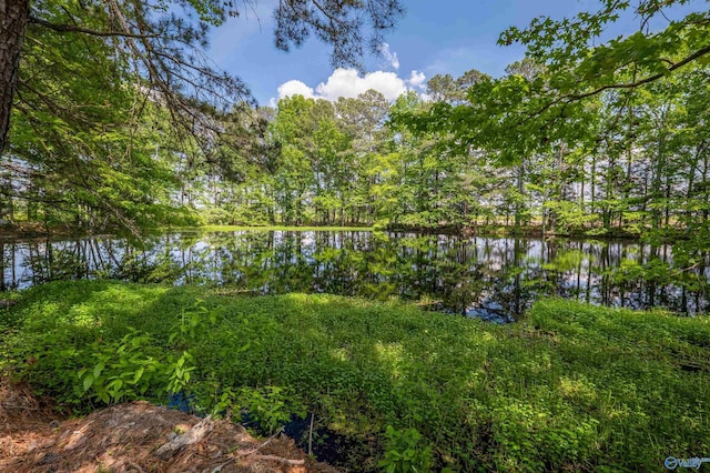 286 Griffith Dr, Centre, AL 35960 - water view