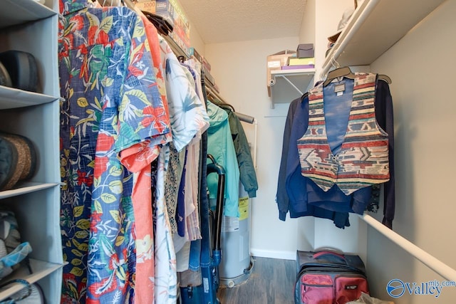 walk in closet featuring dark hardwood / wood-style flooring