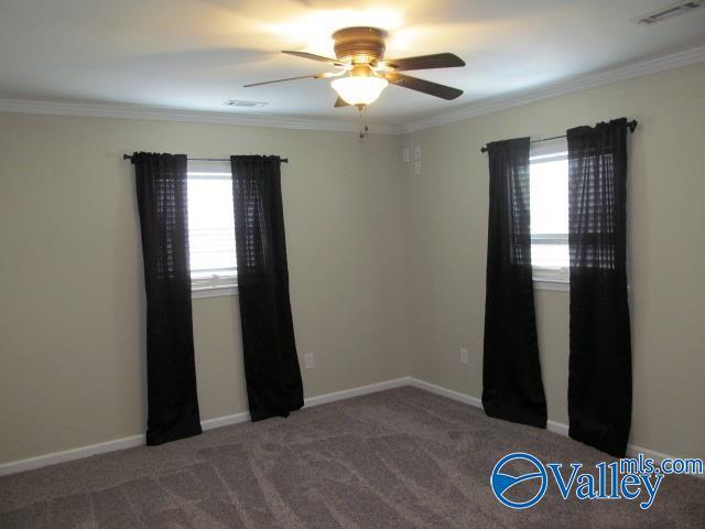 empty room with carpet floors, plenty of natural light, and ceiling fan