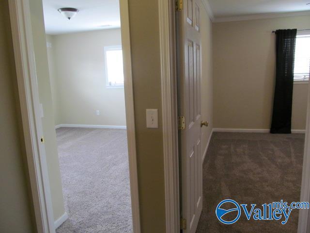 hall with crown molding and carpet