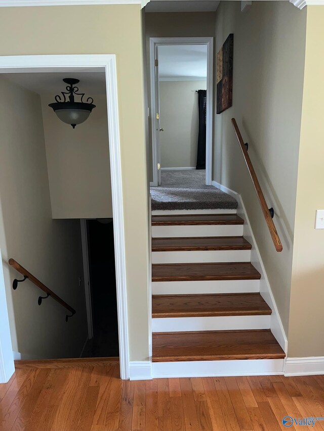 staircase with hardwood / wood-style floors