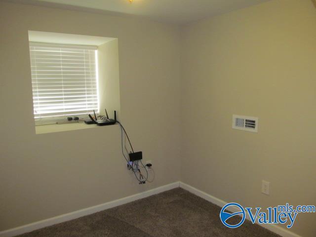 laundry area with carpet flooring