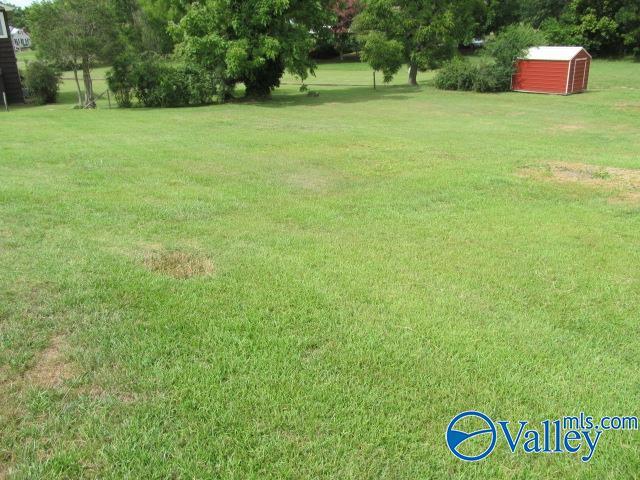 view of yard with a shed