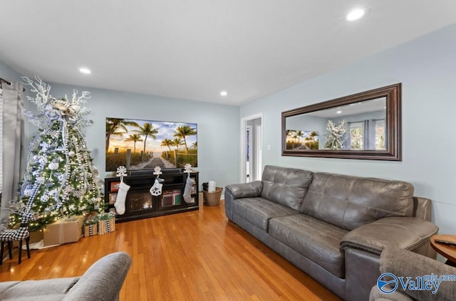 living room featuring wood-type flooring