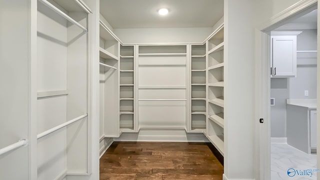 spacious closet with dark wood-style flooring