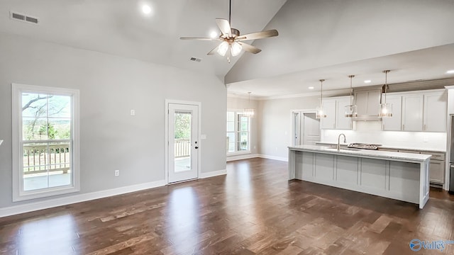 kitchen featuring dark wood finished floors, light countertops, a healthy amount of sunlight, and visible vents