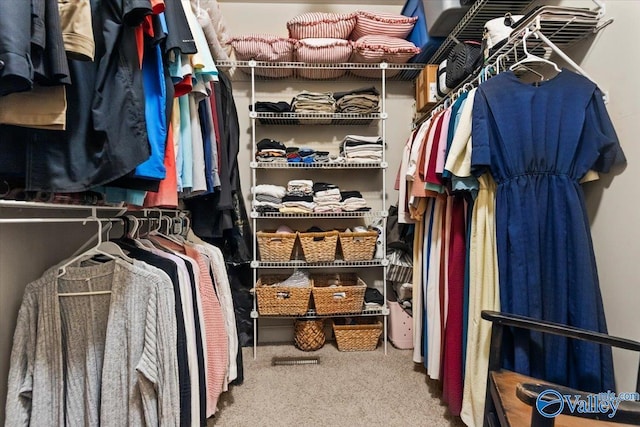 1081 County Road 190, Moulton, AL 35650 - walk in closet featuring carpet