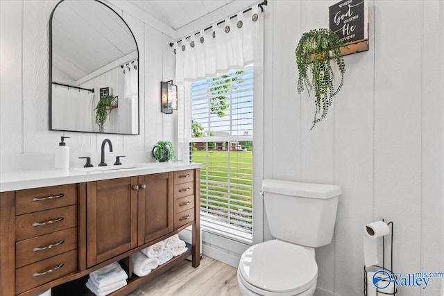 1081 County Road 190, Moulton, AL 35650 - full bathroom featuring vanity, toilet, vaulted ceiling, and wood finished floors