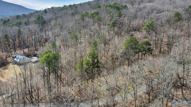 3.36ACRES Blowing Cave Rd, Gurley AL, 35748 land for sale