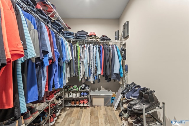 walk in closet featuring hardwood / wood-style flooring