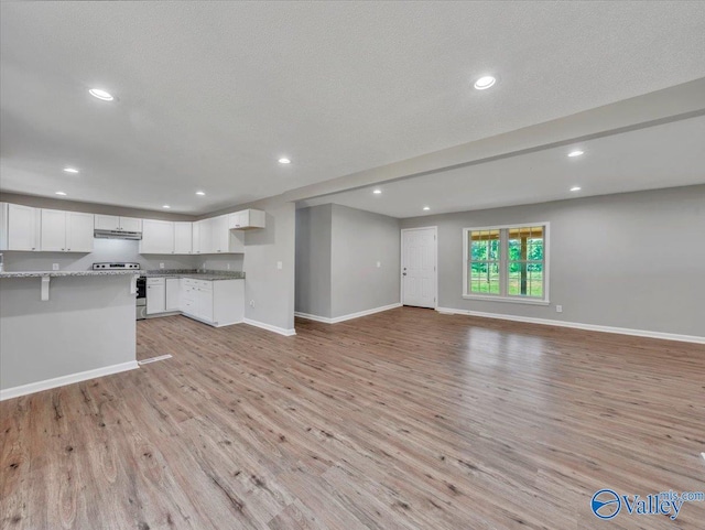 1492 County Road 314, Town Creek, AL 35672 - unfurnished living room featuring light wood-type flooring, baseboards, and recessed lighting