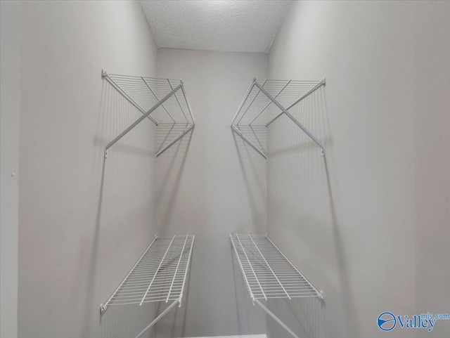 1492 County Road 314, Town Creek, AL 35672 - view of walk in closet