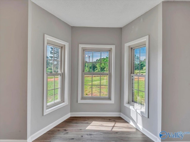 1492 County Road 314, Town Creek, AL 35672 - entryway featuring baseboards, wood finished floors, and a textured ceiling