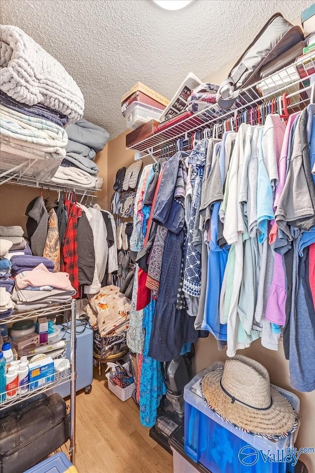 walk in closet with wood-type flooring