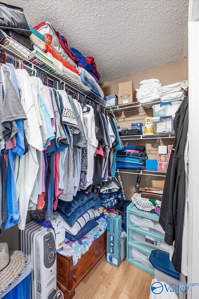 spacious closet with hardwood / wood-style flooring