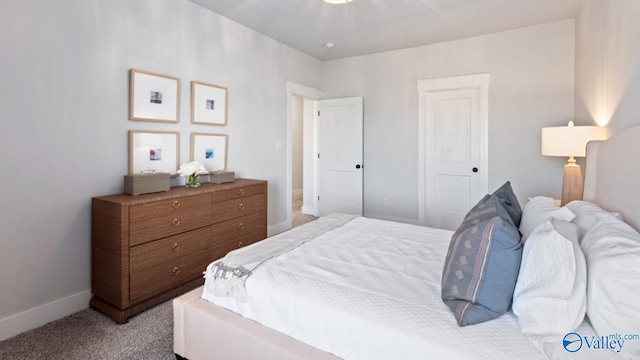 bedroom featuring carpet flooring and a closet