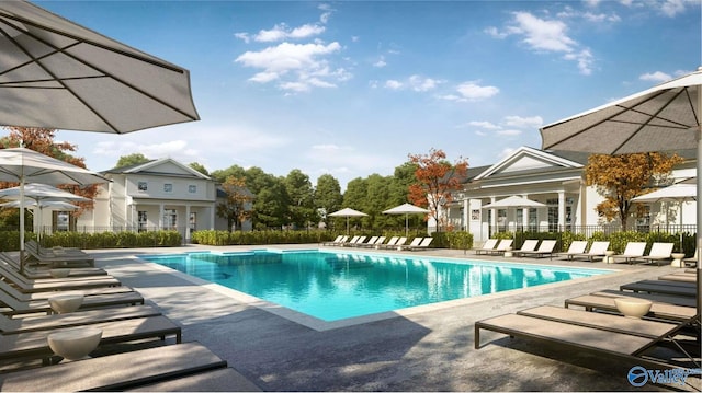 view of swimming pool with a patio area