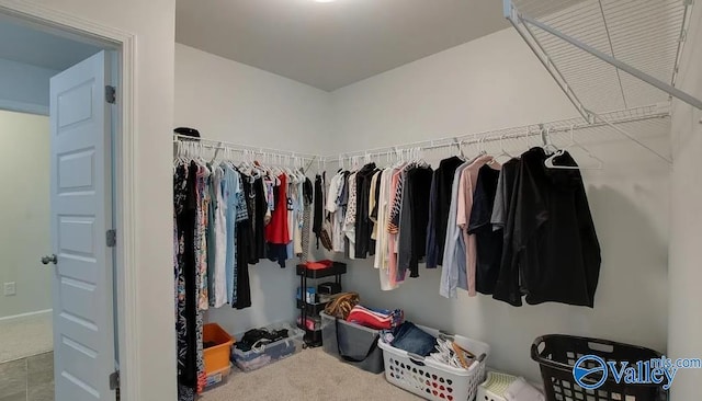 spacious closet with carpet flooring