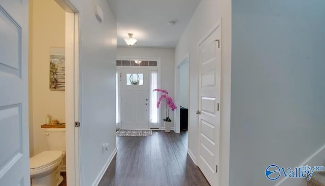 foyer entrance featuring dark hardwood / wood-style flooring