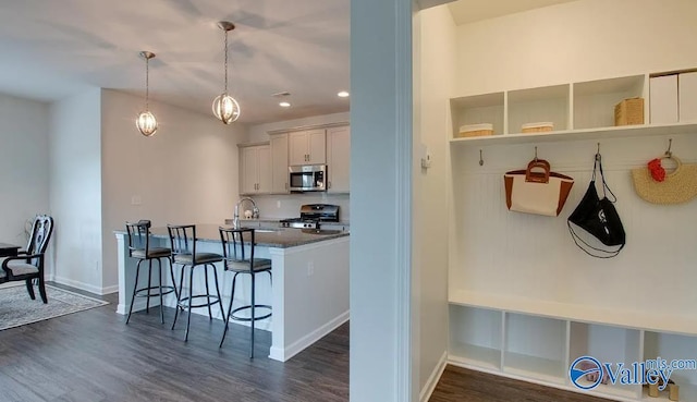 mudroom with sink and dark hardwood / wood-style floors