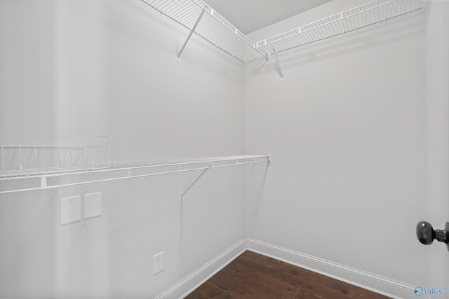 walk in closet with dark wood-type flooring