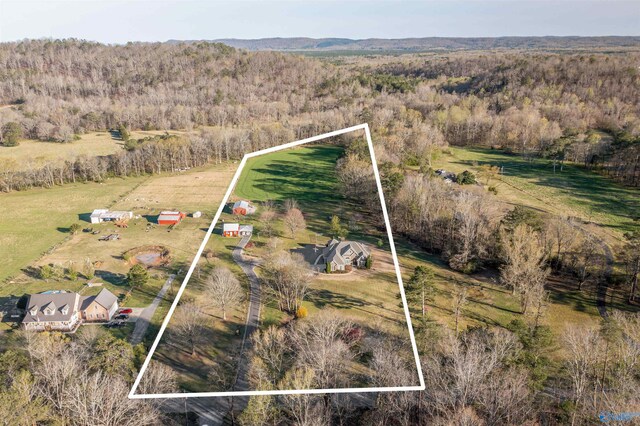 3602 Beason Cove Rd, Steele, AL 35987 - birds eye view of property with a rural view and a forest view