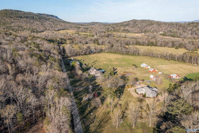 3602 Beason Cove Rd, Steele, AL 35987 - bird's eye view featuring a mountain view