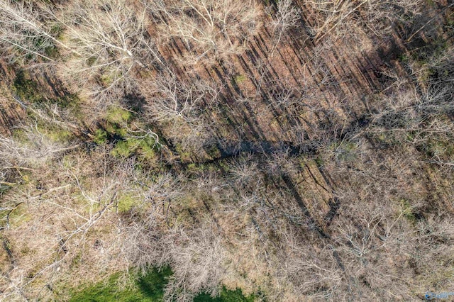 3602 Beason Cove Rd, Steele, AL 35987 - birds eye view of property
