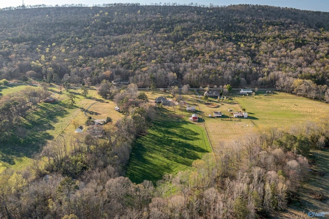 3602 Beason Cove Rd, Steele, AL 35987 - birds eye view of property featuring a rural view and a view of trees
