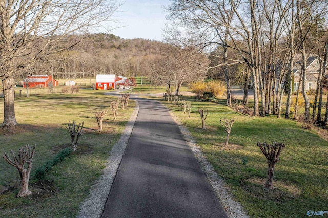 3602 Beason Cove Rd, Steele, AL 35987 - view of road
