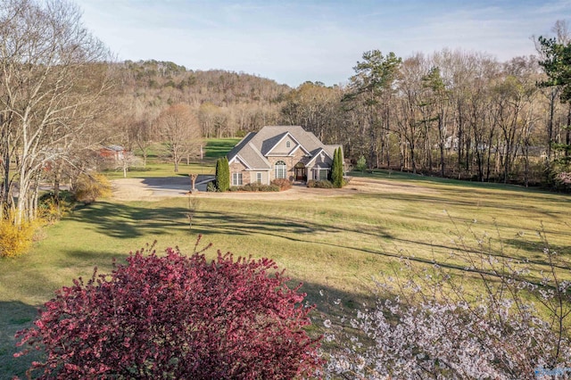 3602 Beason Cove Rd, Steele, AL 35987 - exterior space with a front yard and a view of trees