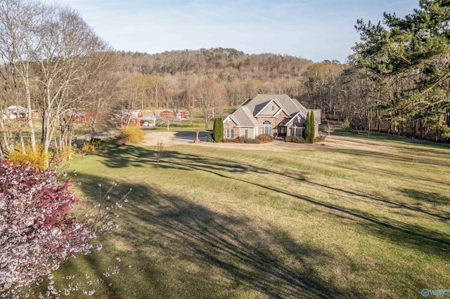 3602 Beason Cove Rd, Steele, AL 35987 - view of yard with a wooded view
