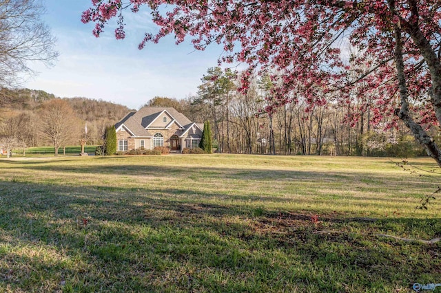 3602 Beason Cove Rd, Steele, AL 35987 - view of yard