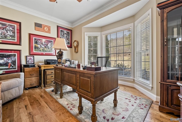 3602 Beason Cove Rd, Steele, AL 35987 - office area featuring crown molding, baseboards, a ceiling fan, and light wood-style floors