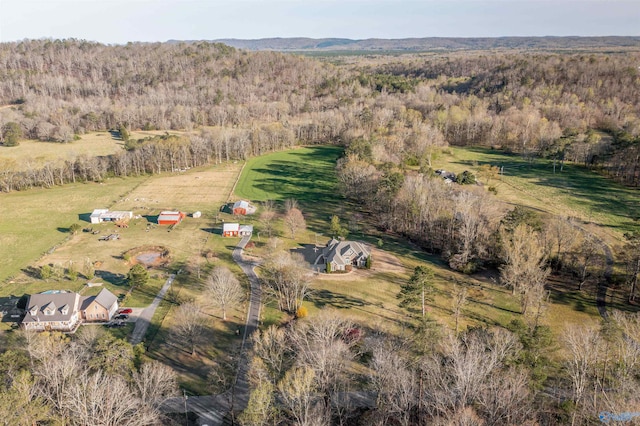 3602 Beason Cove Rd, Steele, AL 35987 - drone / aerial view featuring a forest view and a rural view