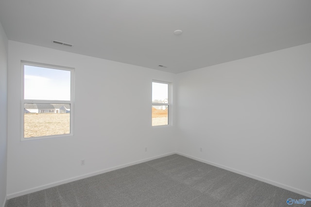 spare room featuring carpet floors